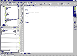   FirstPage 2000